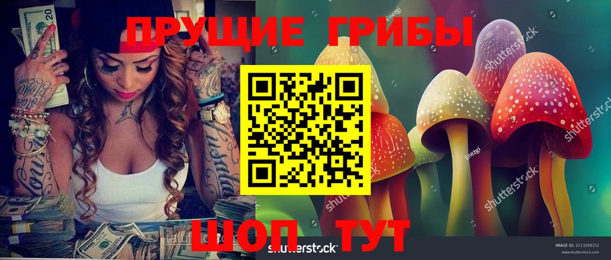 Сызрань  Галлюциногенные грибы MAGIC MUSHROOMS  Вход с VPN 